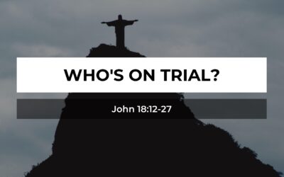 Who’s On Trial?