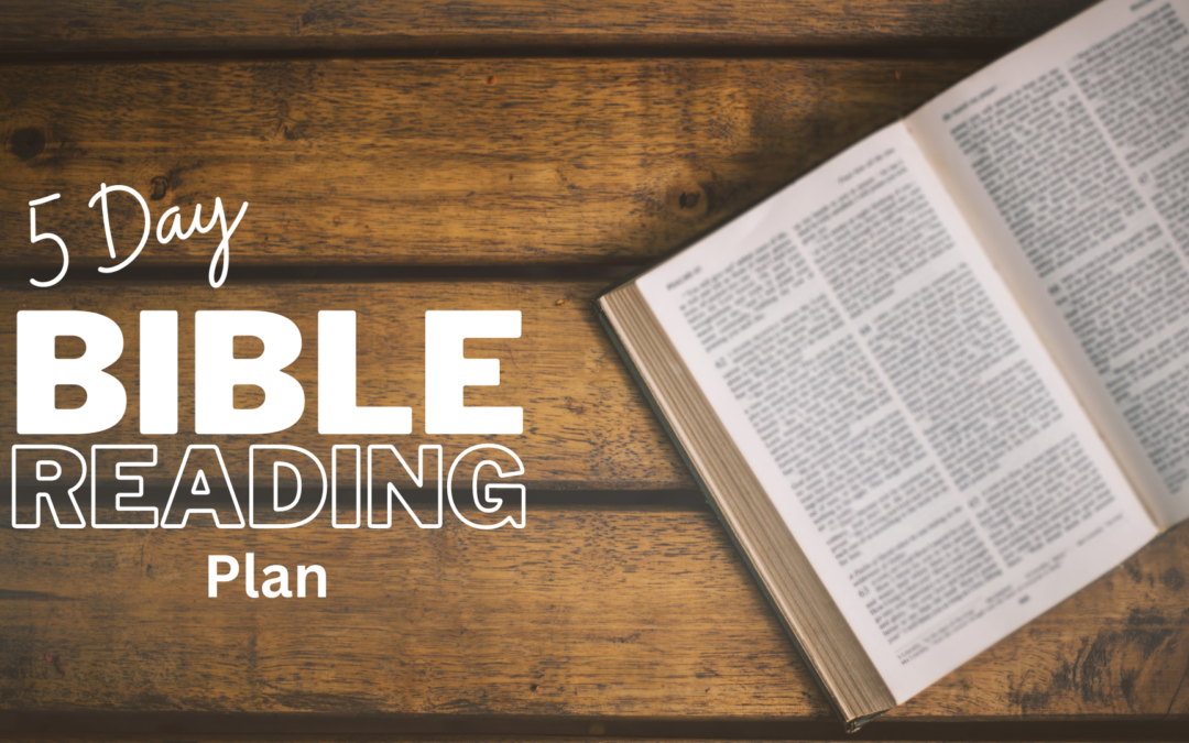 5 Day Bible Reading Plan Sign Up