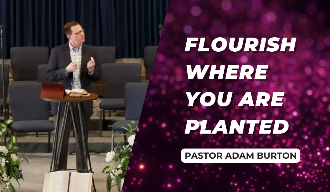 Flourish Where God Plants